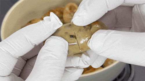 3e9bd2253a2d524c79da0d304b64b509_1775832807_3868.gif