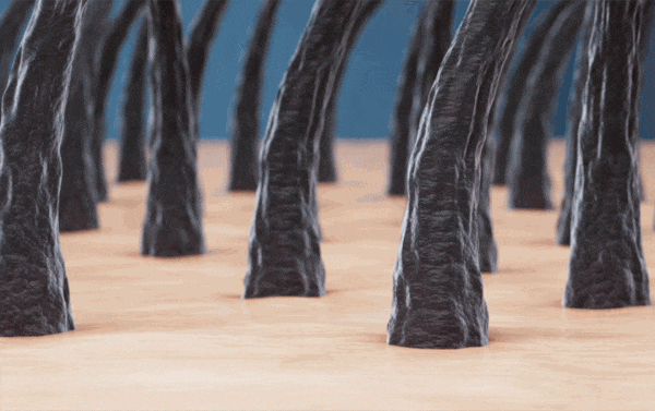 593fd8dfa19f905d1303686f4ff63fb8_1775989513_8014.gif