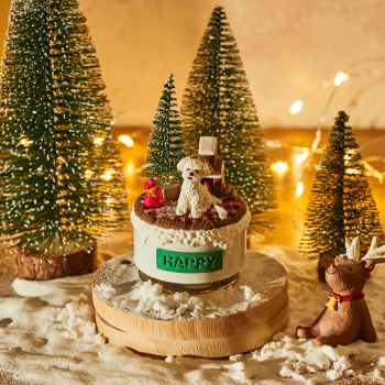 반려동물 크리스마스 커스텀 오르골