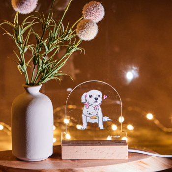 반려동물 드로잉 아크릴 무드등